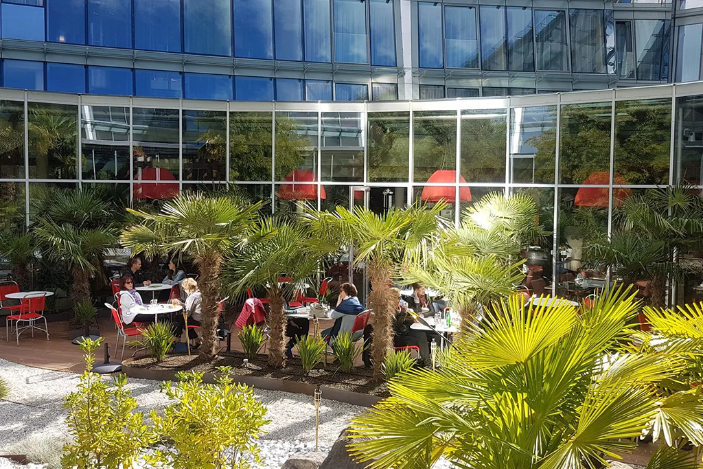 Alpha_Palmier_Lausanne_3